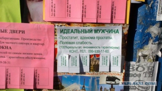 Прикольные картинки, интересные цитаты и мысли