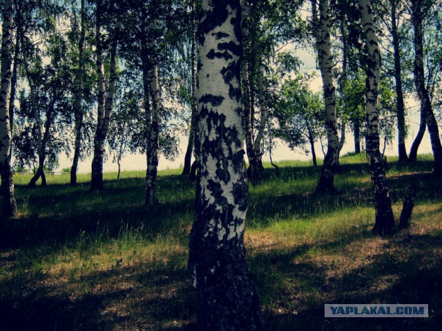 Подборка "тёплых, уютных, домашних" фотографий. Часть 2