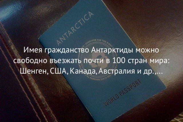 40 интересных фактов в картинках