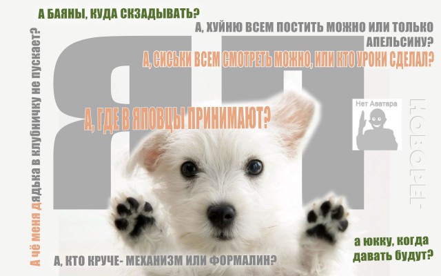 ЯП посетители (дополнения 3)