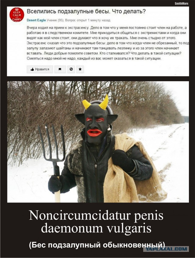 Ужасы и приколы из соцсетей 18+