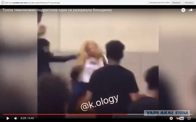 Толпа темнокожих подростков едва не разорвала блондинку в школе