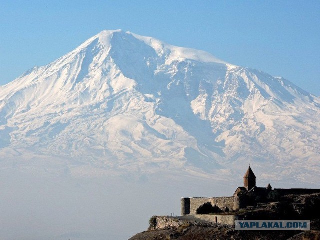 Моменты, запечатлённые на фото и просто позитив 5