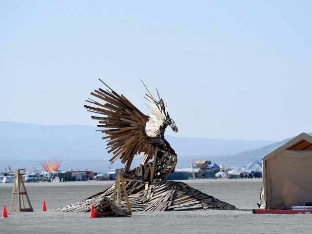 Огонь, песок и безумие: В Неваде стартовал Burning Man 2017!