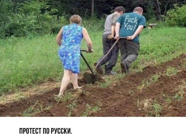 Картинки по-приколу