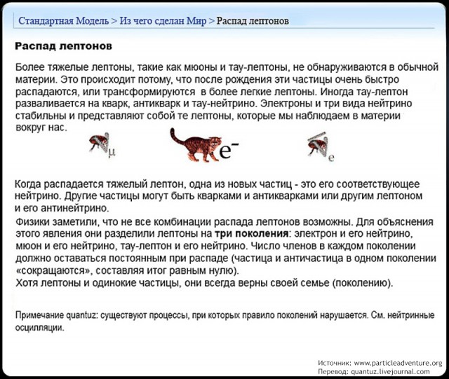 Физика: Стандартная Модель