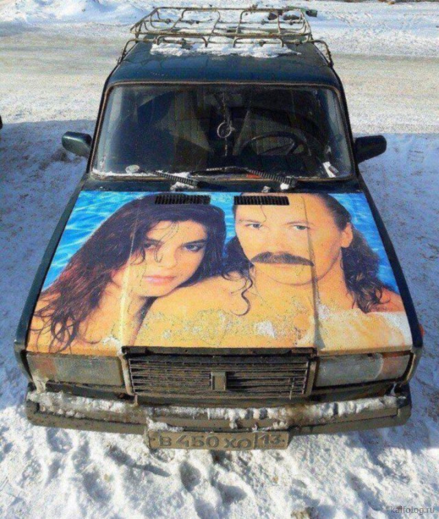 Лента прикольных картинок