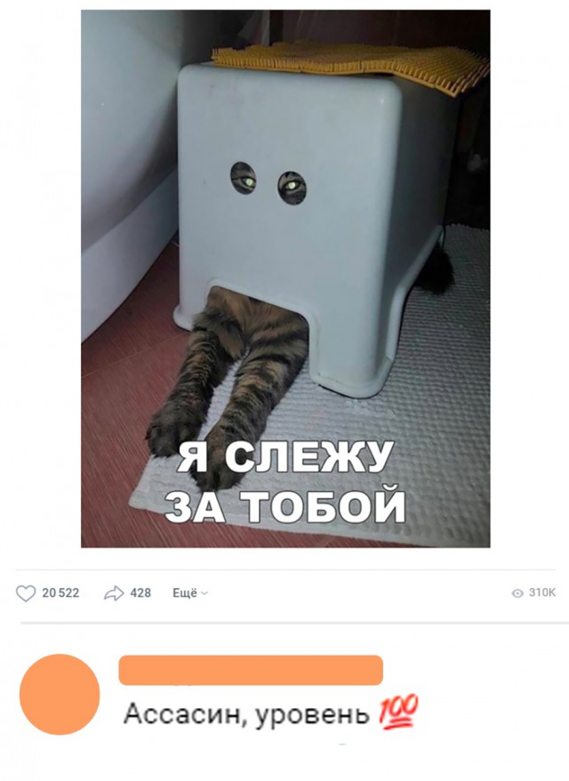 Немного милоты
