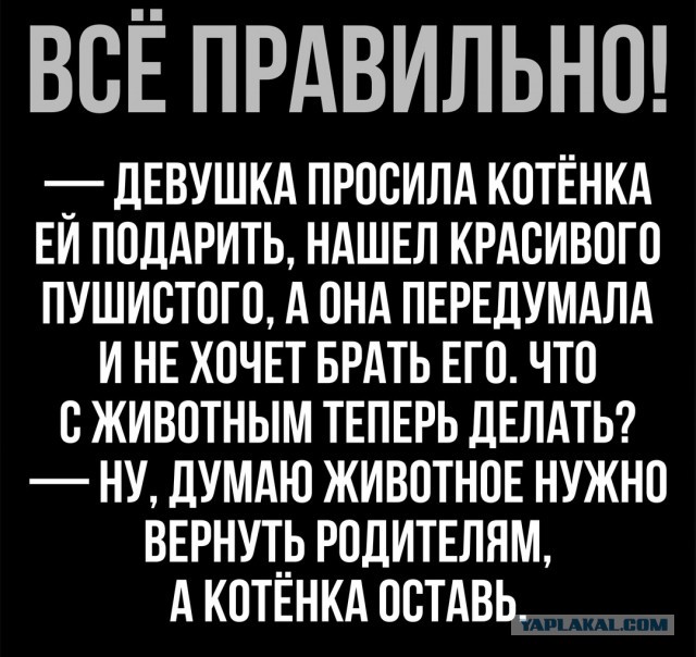 Не очень адекватный юмор