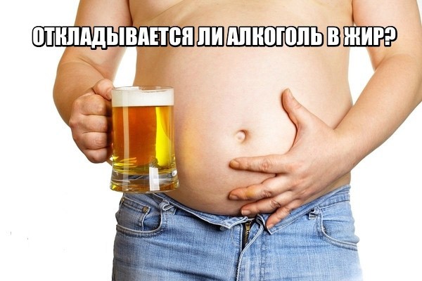 Откладывается ли алкоголь в жир?