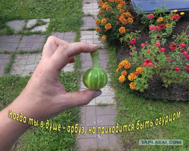 Воскресная фотоподборка