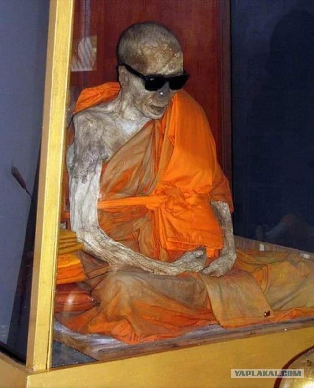 Занимательный рассказ как монахи пытаются стать Буддой во плоти