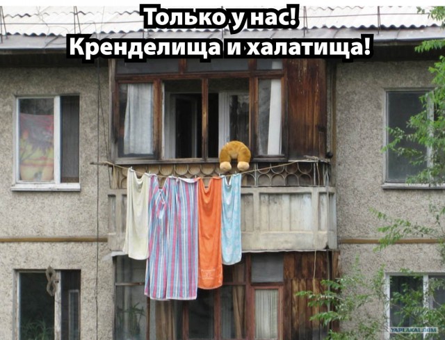 Конкурс: подпись к картинке