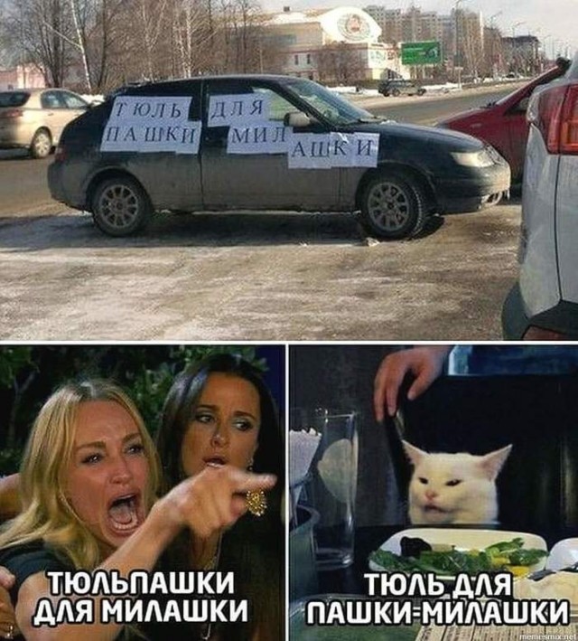 Прошёл целый год! А они всё орут на бедного котика