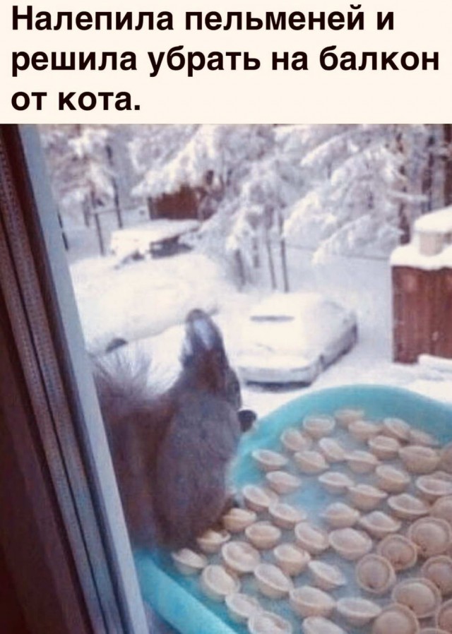 Юмор в картинках 9.11.20