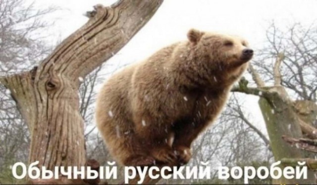 Картинки с надписями и всякие жизненные фразы 16.1.21