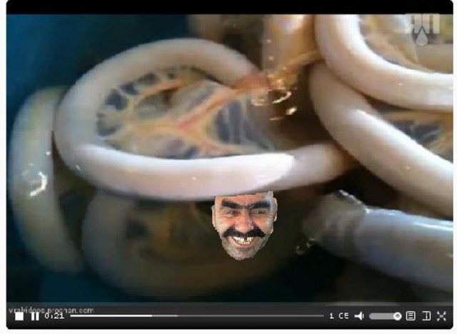 Странное существо