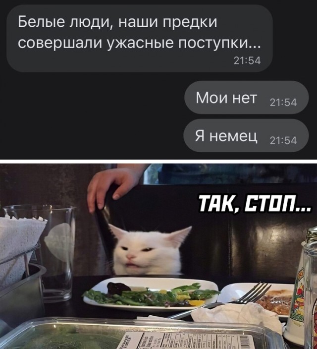 Весёлый полтишок 27.05