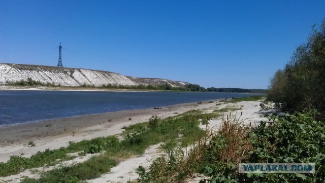 Бабы козлы