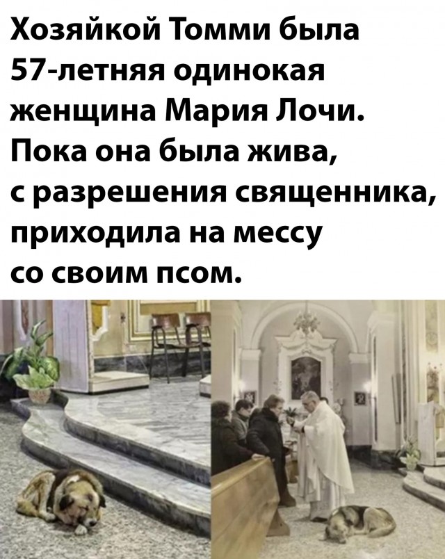 Вот она - преданность!