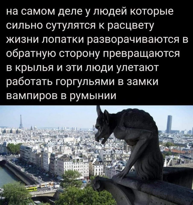 Всяческие картинки 29.11.2021