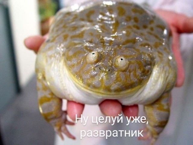 Отвали, я сказала!