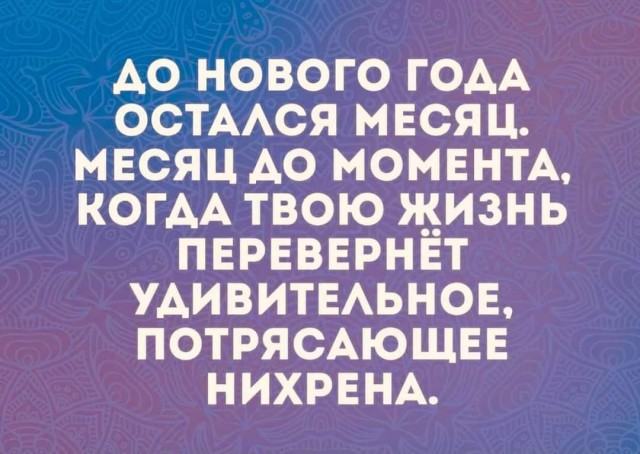 Всяческие картинки 29.12.2021