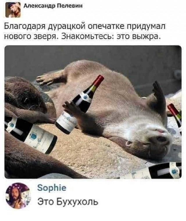 Человек собаке друг и другие картинки под настроение 13.01.2022