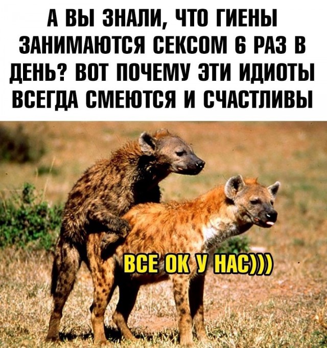 Так себе картинки 06.02.22
