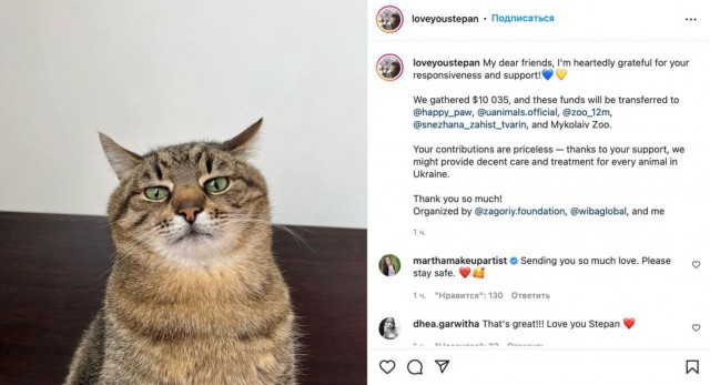 Котовторник