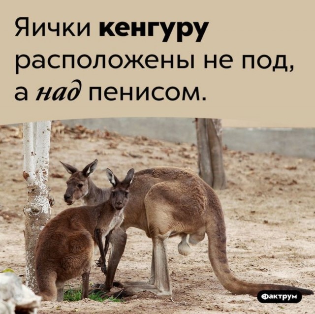 Вот это для мужчин