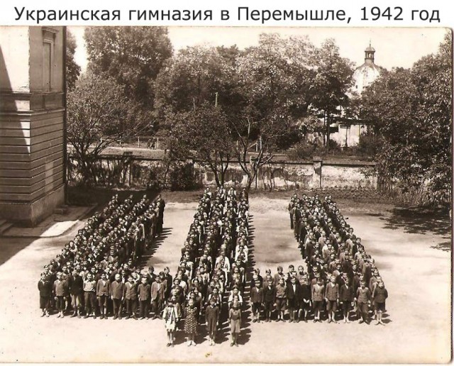 Грамоты с гербом Украины выдали детям в детском саду Читы