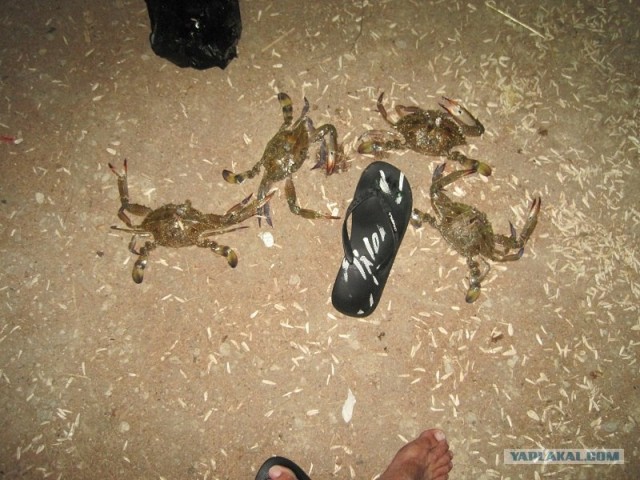 Путешествие Геленджик-Турция