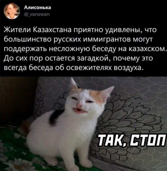 Немного позитива на утро 26.10.2022