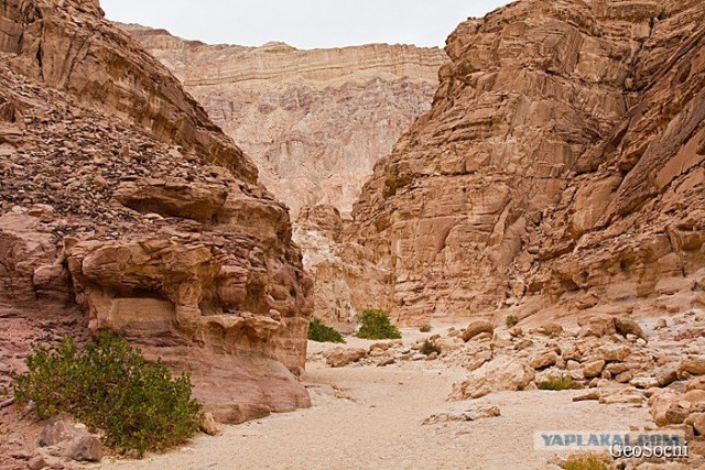 Синайские приключения. Шарм-эш-Шейх и окресности