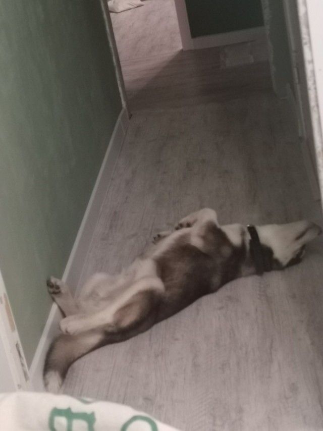 Ну, типа, с четвергом!