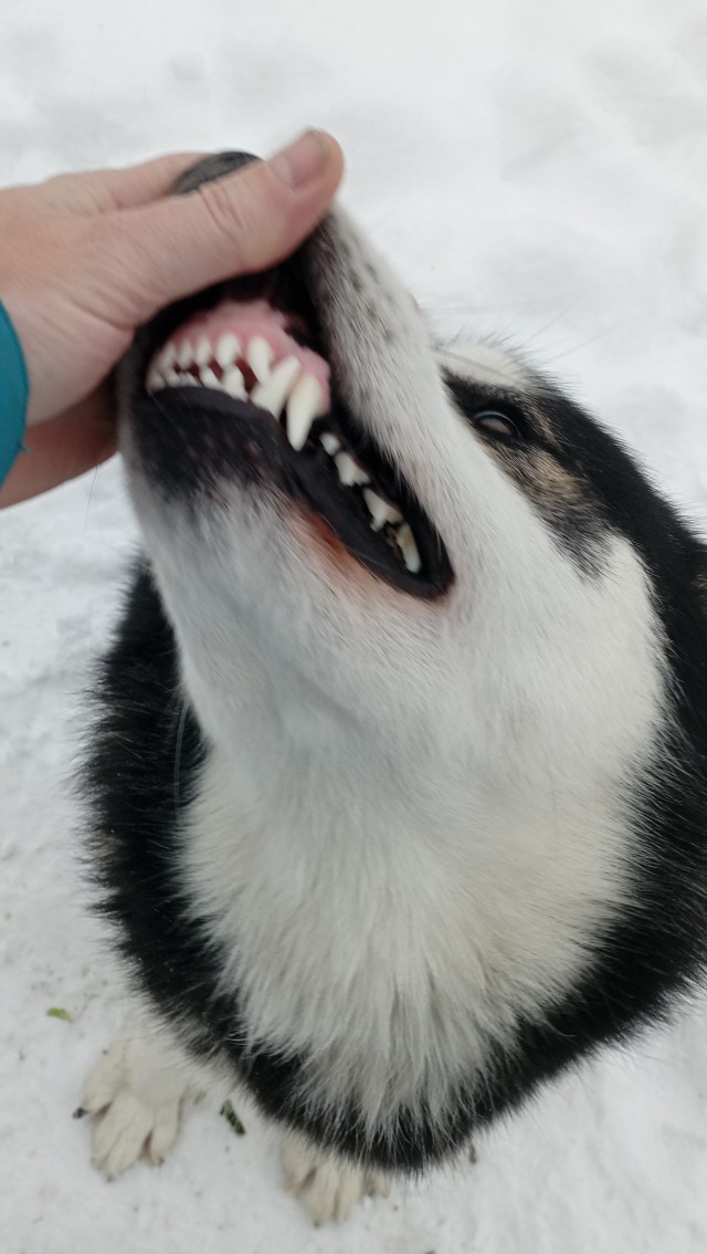 Ну, типа, с четвергом!