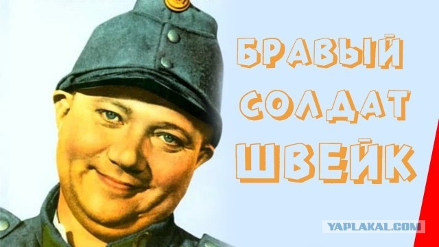 Бесконтактный "тигр" с каменным лицом