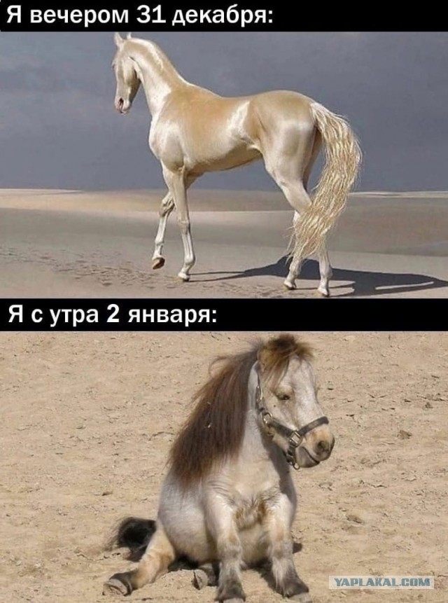 Почему женщины одним "дают" сразу, а других матросят месяцами