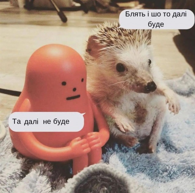 Победная поступь идиотизма по планете – том 5
