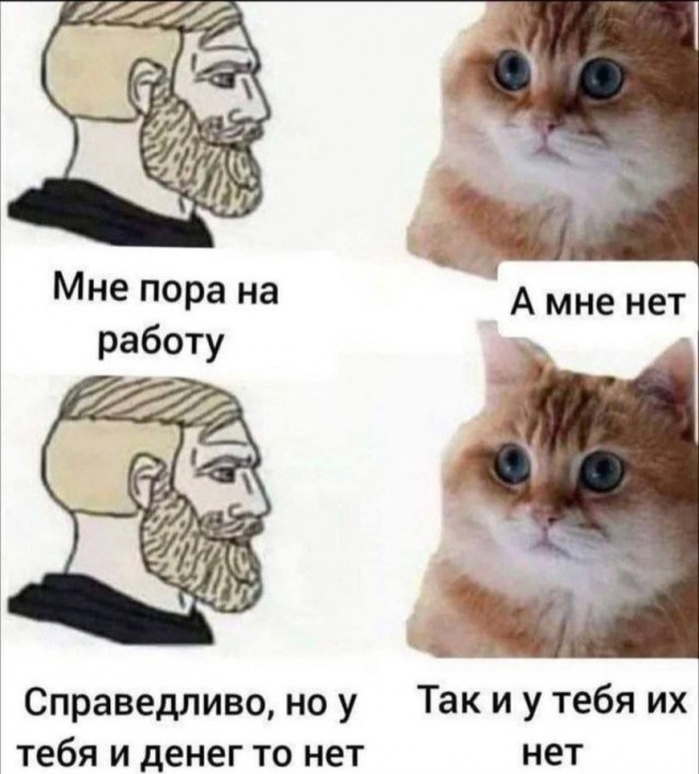 Равноправие женщин и рождаемость