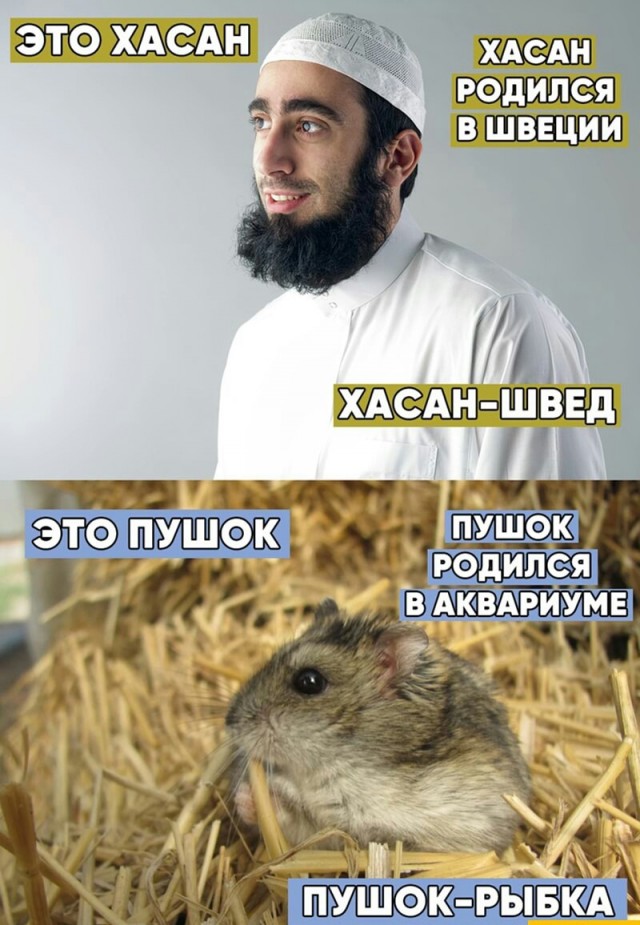 Новости Великобритании: Шотландских националистов возглавил Хамза Харун Юсаф