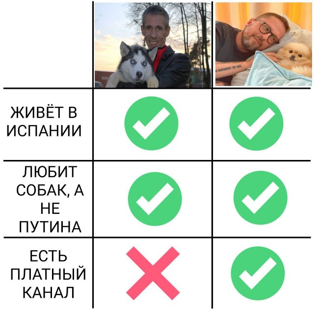 Актера Алексея Панина объявили в розыск