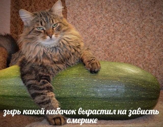 Без врага жизнь скучна, а с врагом - интересна