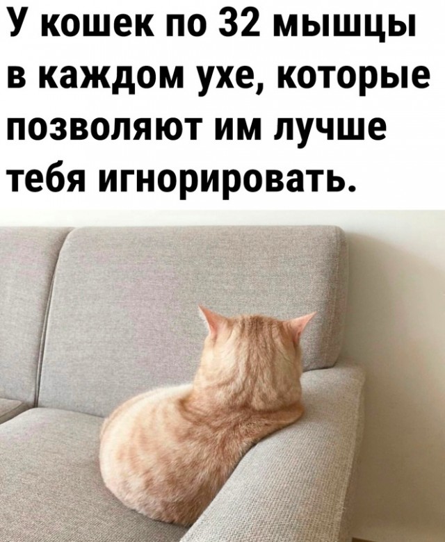 Так себе картинки 28.10.23