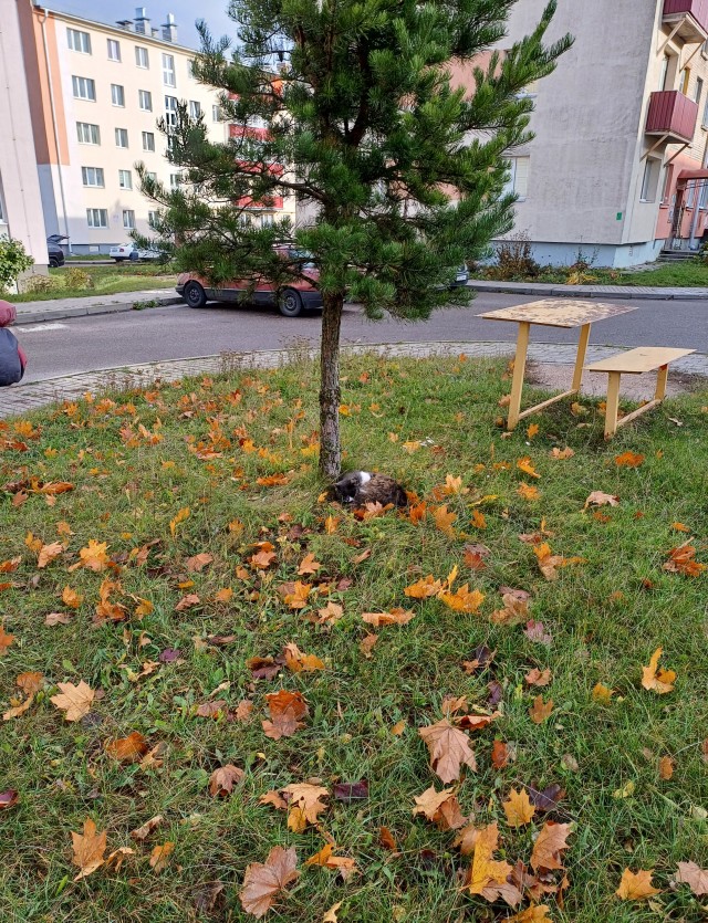 Мои фото без обработки