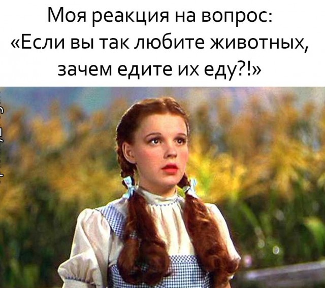 Семья веганов сдает анализы. Комменты огонь