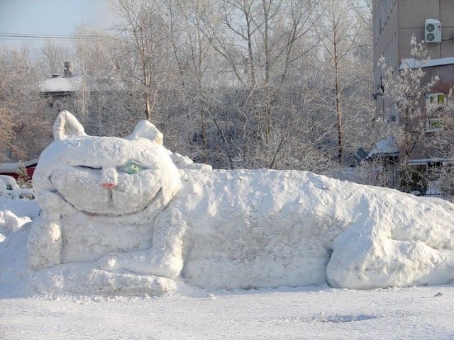 Котики из снега и котики на снегу