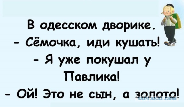 Одесский юмор для настроения - 3