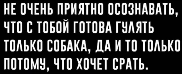 Никакие картинки и тексты